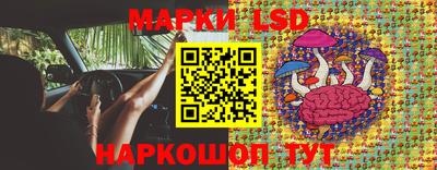 прущий лед Будённовск