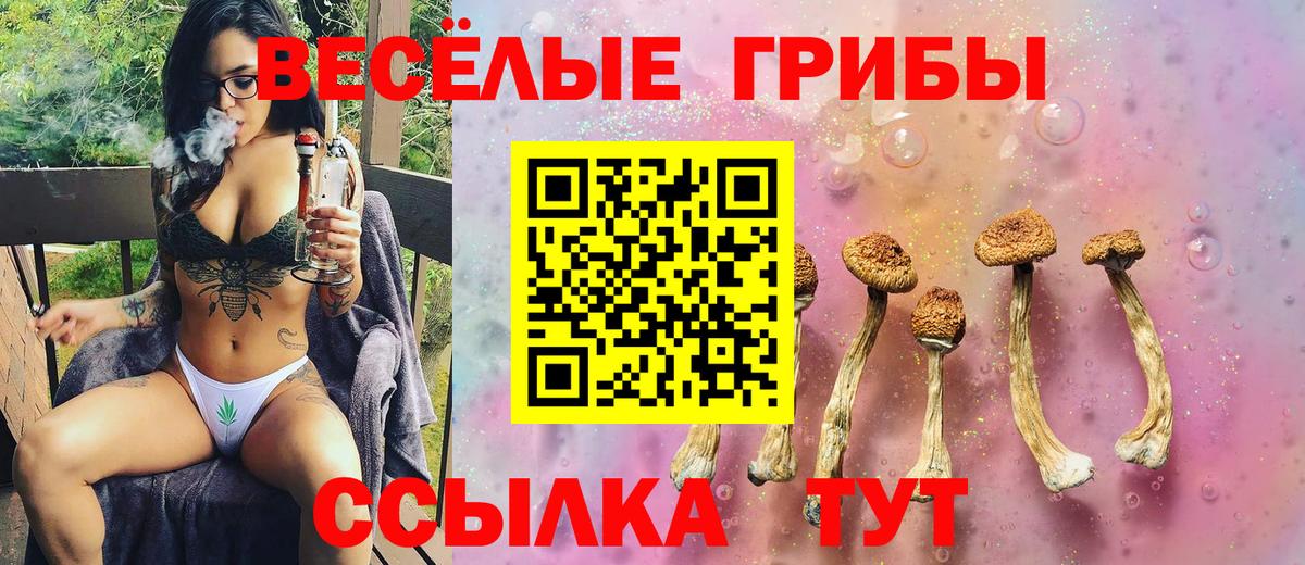 Туймазы  Псилоцибиновые грибы ЛСД  что такое наркотик  Вход с VPN  Псилоцибиновые грибы Cubensis 