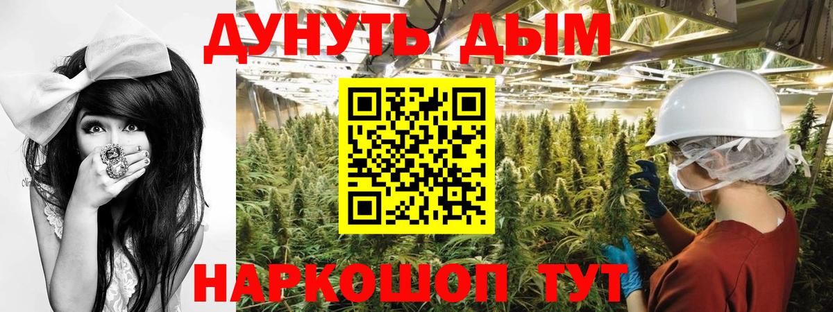 Марихуана план  Шишки марихуана THC 21%  Бошки Шишки SATIVA & INDICA  Вход с VPN  Туймазы  Канабис Ganja 